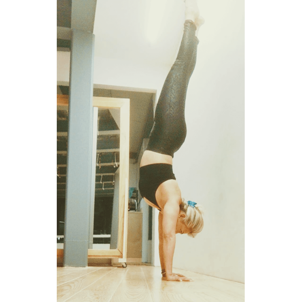 Matza 3 1000x1000 panda